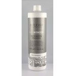 AlterEgo Shewonder Nawilżający szampon regenerujący do włosów 950ml 