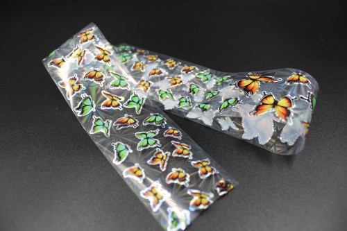 folia 36.JPG