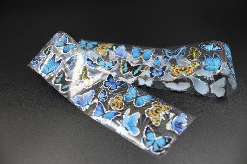 folia 56.JPG