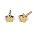 kolczyki studex system75 gwiazdka złota 4 mm