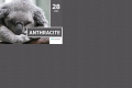 Serwety podfoliowane kosmetyczne składane 50 szt ciemnoszare,anthracite