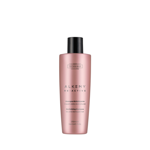 Technique Re-Active Szampon rewitalizujący 250 ml
