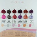 AlterEgo Passion Color Odżywcza maska koloryzująca do włosów z olejkiem Inca Red Velvet 50 ml